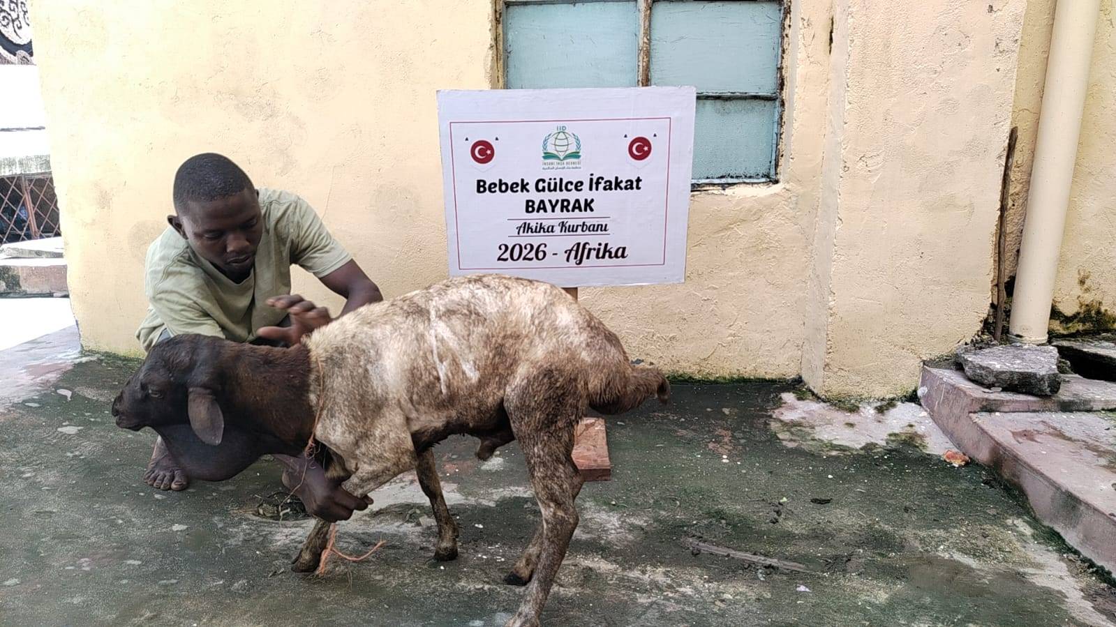 Akikah Meat Distribution In Kisauni